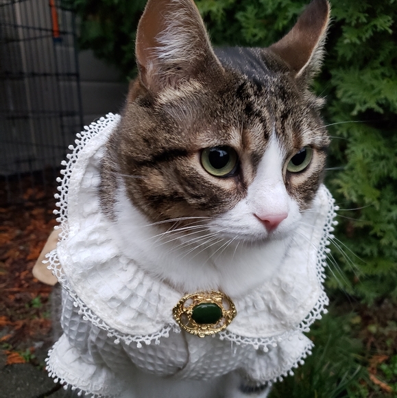 Vintage Gold-toned Metal and Jade Stone Dress Clip - Picture 3 of 6